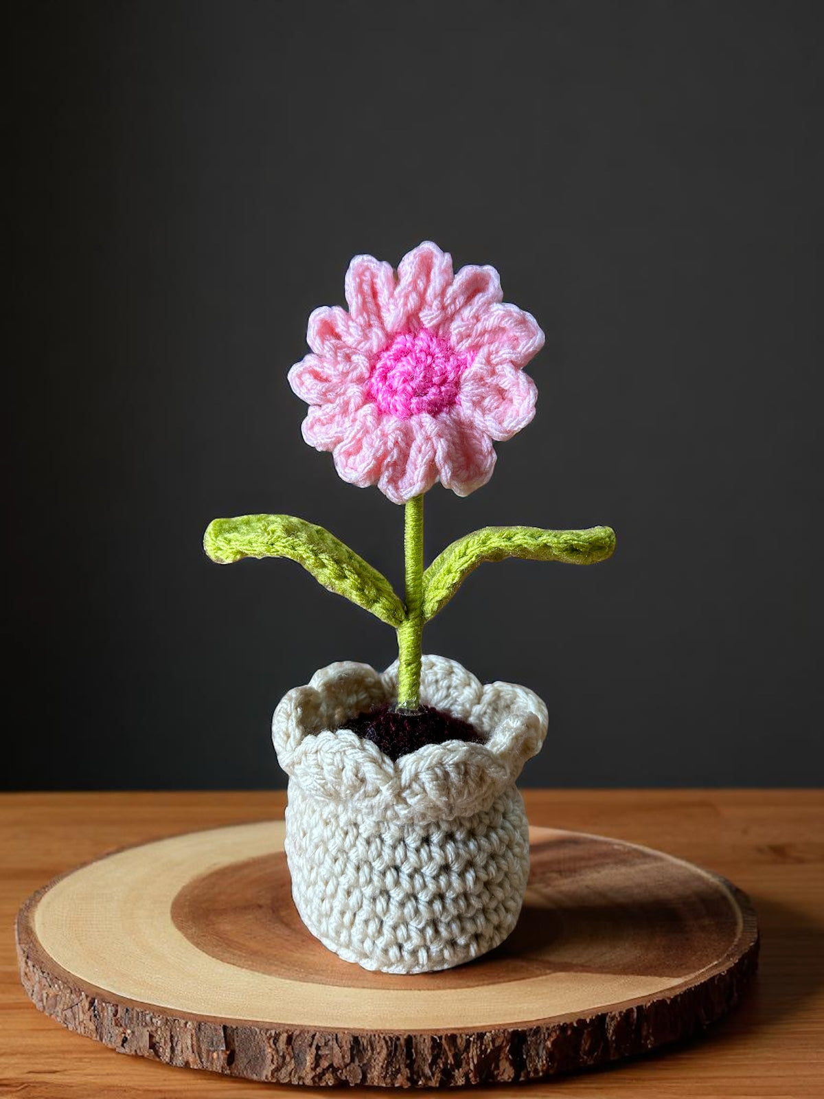Pink Daisy