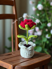 Rose pot