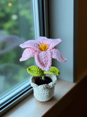 Lilly