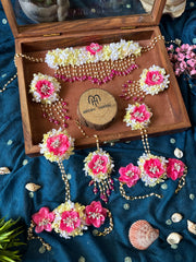 PHOOL 23