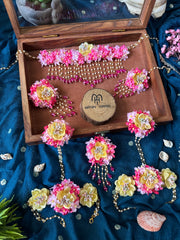PHOOL 24